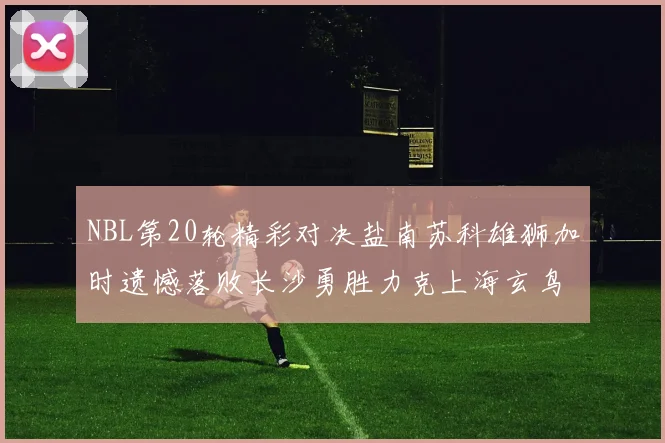 NBL第20轮精彩对决盐南苏科雄狮加时遗憾落败长沙勇胜力克上海玄鸟